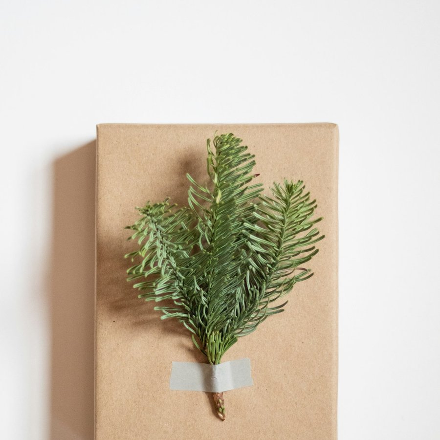 Kraft boxes
